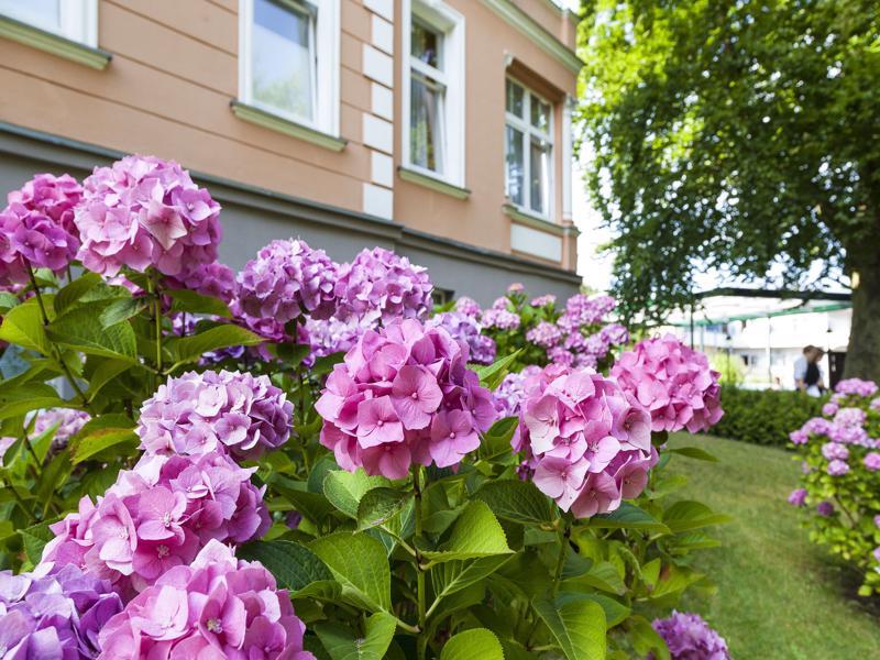 Ostseehotel Villen Im Park - Ein Rovell Hotel 제바트헤링스도르프 외부 사진