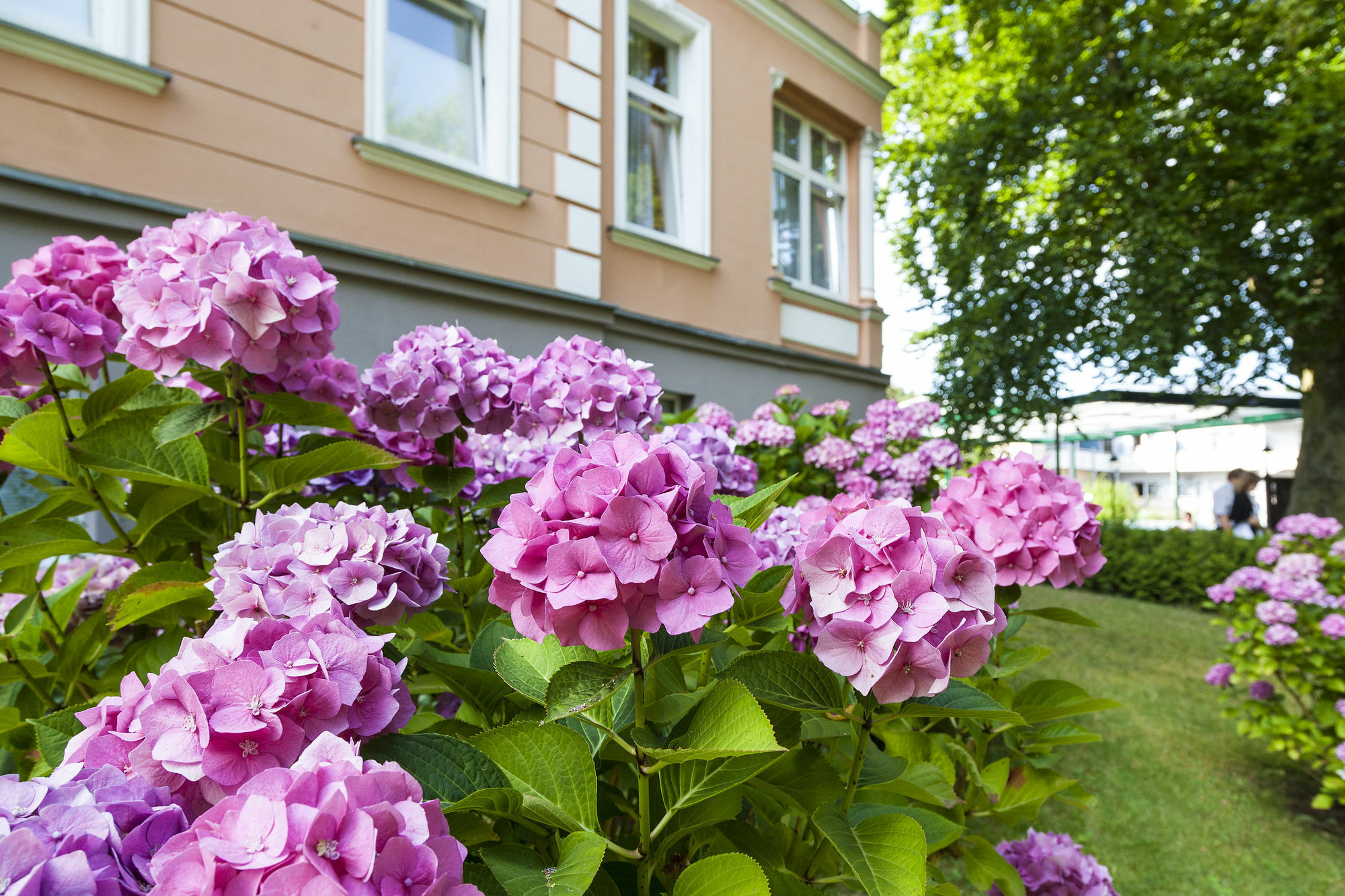 Ostseehotel Villen Im Park - Ein Rovell Hotel 제바트헤링스도르프 외부 사진